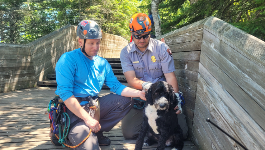Dog visiting the Pictured Rocks National Lakeshore in Michigan rescued after falling nearly 30 feet down a cliff, park officials say